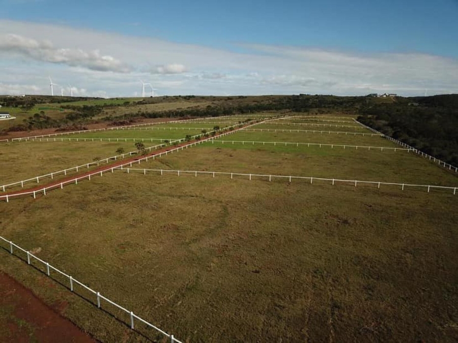 0 Bedroom Property for Sale in Kabeljauws Eastern Cape